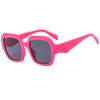 JYL Small Cat Eye Sunglasses UV Protection For Outdoor Use 3732