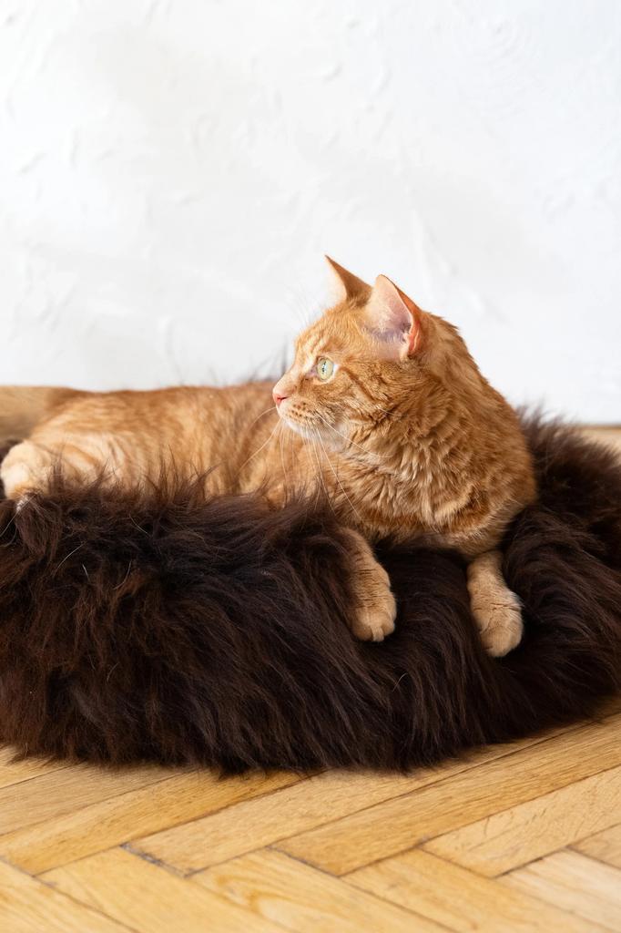 Round Natural Sheepskin Pet Bed - Brown 40 Cm