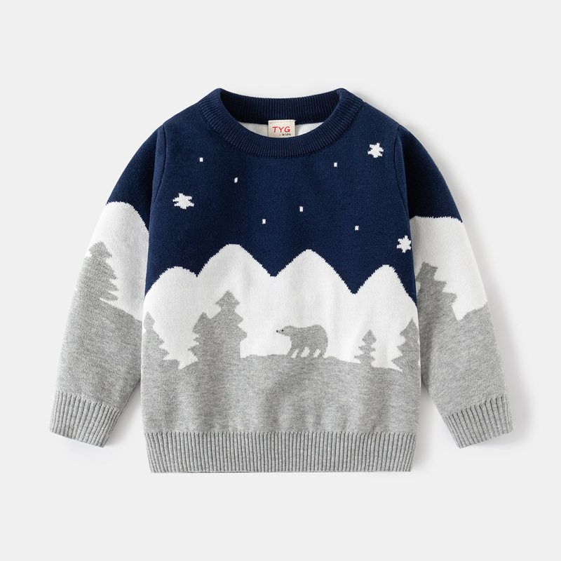 Autumn and Winter Boys' Round Neck Long Sleeve Sweater Kids Double-Layer Thickened Cotton Cotton Knitwear Baby Boys' Knitwear 2024 New Arrival