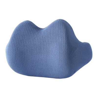 Lumbar Support Pillow For Office Chair And Car Seat – Relieve Back Pain And Improve Posture