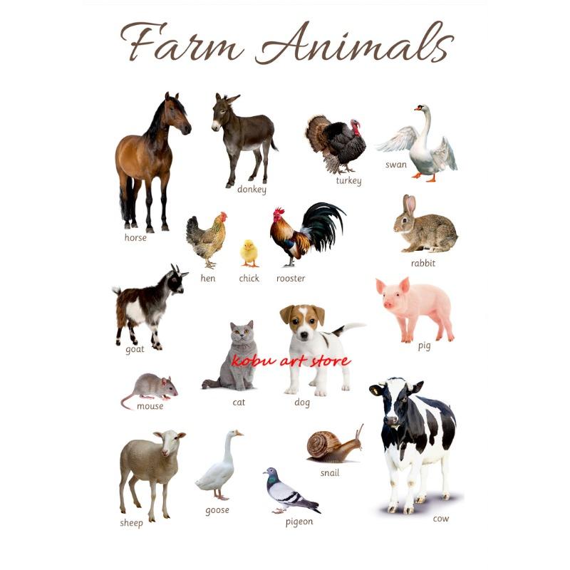 Farm Animals Ocean Animals Horse Educational Learning Poster Print Canvas Painting Wall Art Picture for Kids Nursery Room Decor