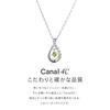 Canal Silver Necklace August Birthstone 151824221008 4℃