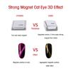 Sada 6ks nástrojů na magnetismus na nehty s dvouhlavými pery na nehty s květinovým designem Strong_Magnet Stick Cats