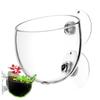 Aquarium Plant Glass Cup With Suction Cups Fish Tank Water Potted Planting Cup Aquarium Aquatic Planter Decoration