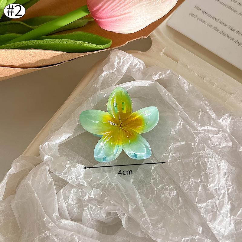 Gradient Transparent Large Flower Hair Clip Sweet Hair Claws for Women Resin Crab Clamp Barrettes Headwear Accessories