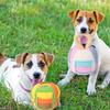 Nonstop Play Dog Sound Chew Ball Flannel Interactive Toy Ball Hidden Treats Toy  Aggressive Chewers