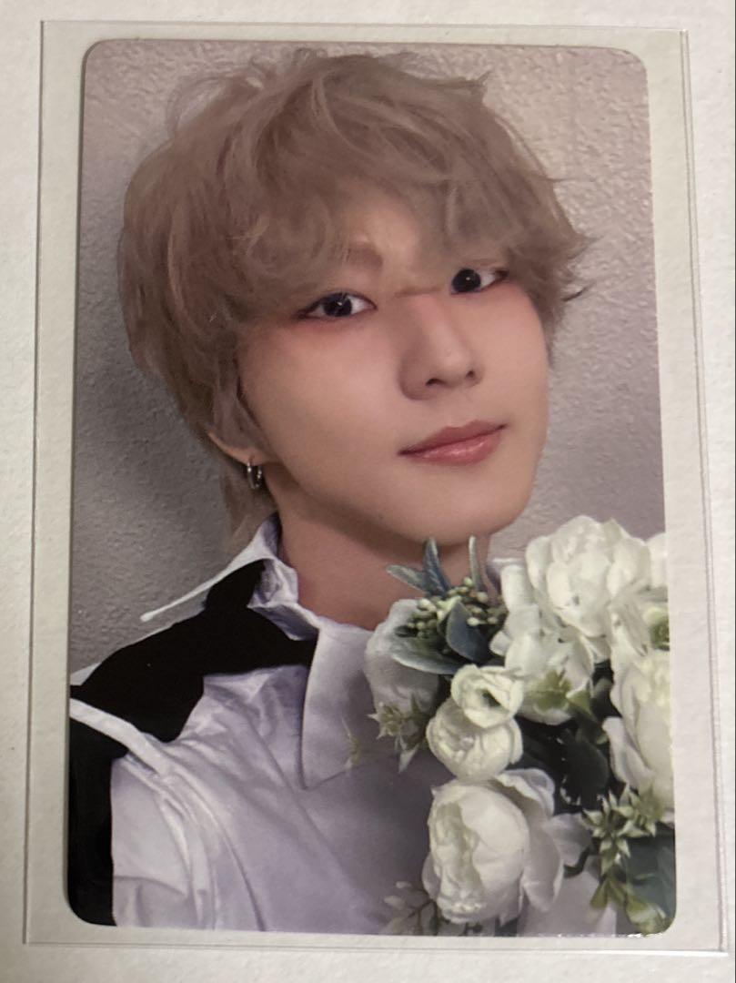 

[USED] Enhypen Jungwon Daydream trading cards