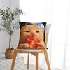 Funny Space Pizza Cat Pillow Cover Cute Funny Pillow Case For Chair Sofa Home Decor Design Pillowcases Gift Idea