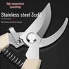 Stainless Steel Garden Pruning Shears for Branches, Flowers, and Fruit Trees
