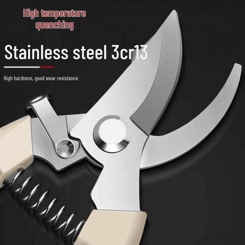 Stainless Steel Garden Pruning Shears for Branches, Flowers, and Fruit Trees