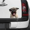 2 Pack 12.5x13cm Funny Pug Vinyl Stickers - Great for Cars, Trucks, Laptops and