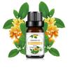 10ml Essential Oil Organic Plant 33 FLAVOR DIY Aromatherapy Plaster Candle Soap Making Aroma Fragrance Oil for Diffuser Sleep