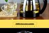 Large Heat-Resistant Glass Teapot with Filter for Flower Tea