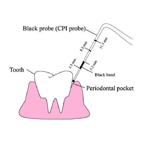 GDC Single End Probes Screening Probe (Who Probe) #6 (Pcp11.5b)