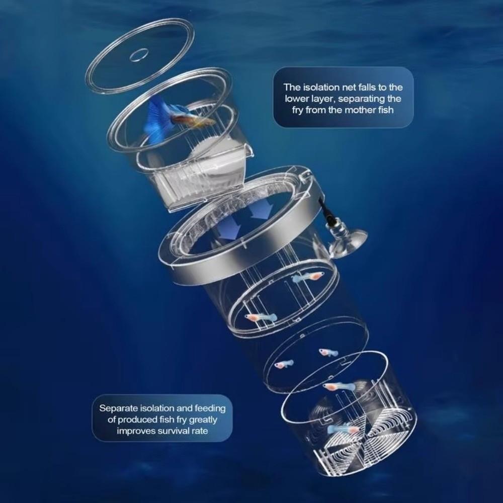 Transparent Floating Hatching Box Floating Fish Breeding Isolation Box for Aquarium Breeder
