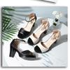 Ladies' New Style Sandals, All-match Hot Summer Fish Mouth Buckle Waterproof Platform High Heels