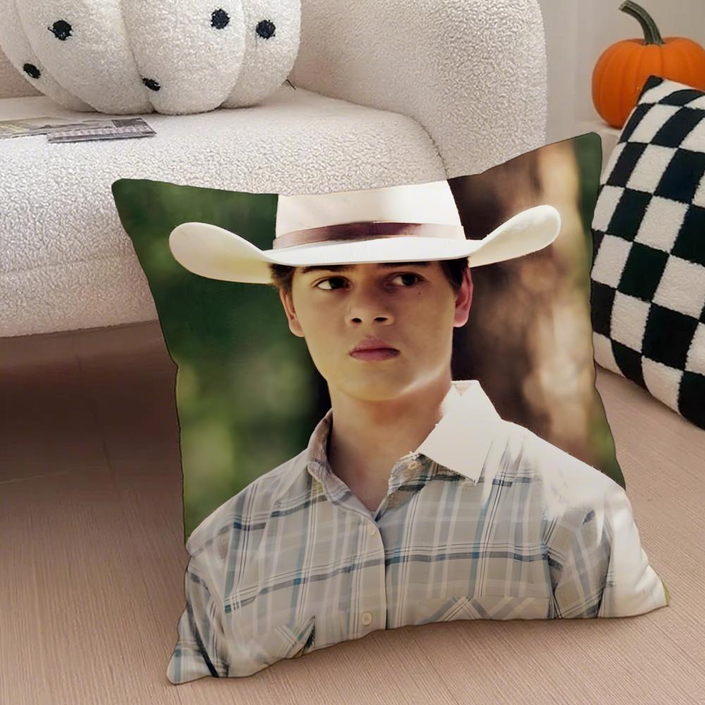 TTate Dutton Cushion Cover Throw Pillow Cover Hidden Button Durable Polyester Chair Cushion