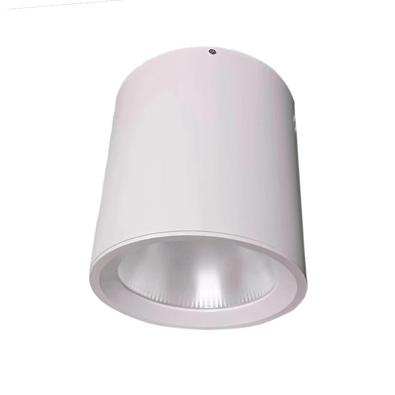 Rongke Smart LED Surface-Mounted Downlight