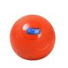 Qishenyi Inflatable Solid Training Ball