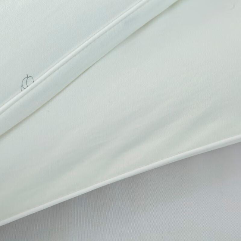 BAIWEISI Snow Cotton Warm Winter Quilt