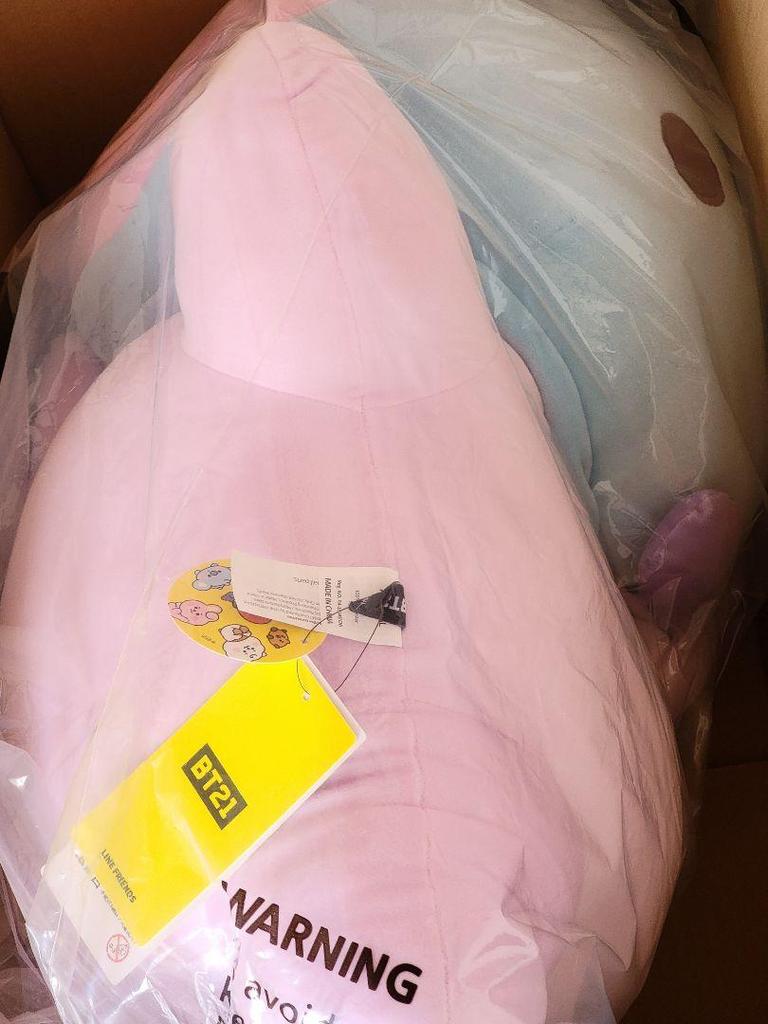 [USED] BTS BT21 MANG JHOPE Hoseok Extra Large Cushion