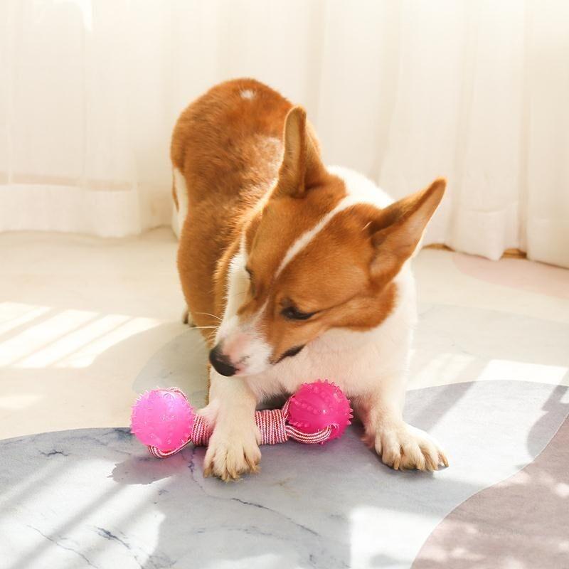 Hundespielzeug  Spielzeug Baumwollseil Bissfest Zähne  Stachelballspielzeug Interaktives Haustierzubehör Haustierzubehör Haustierprodukte