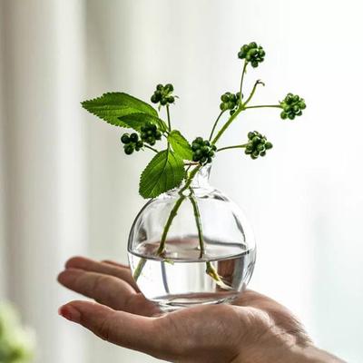 Transparent Glass Vase Avocado Seed Starters Vase Seed Growing Kit Avocado Vase For Growing Gift For Gardening Lovers Home Decor