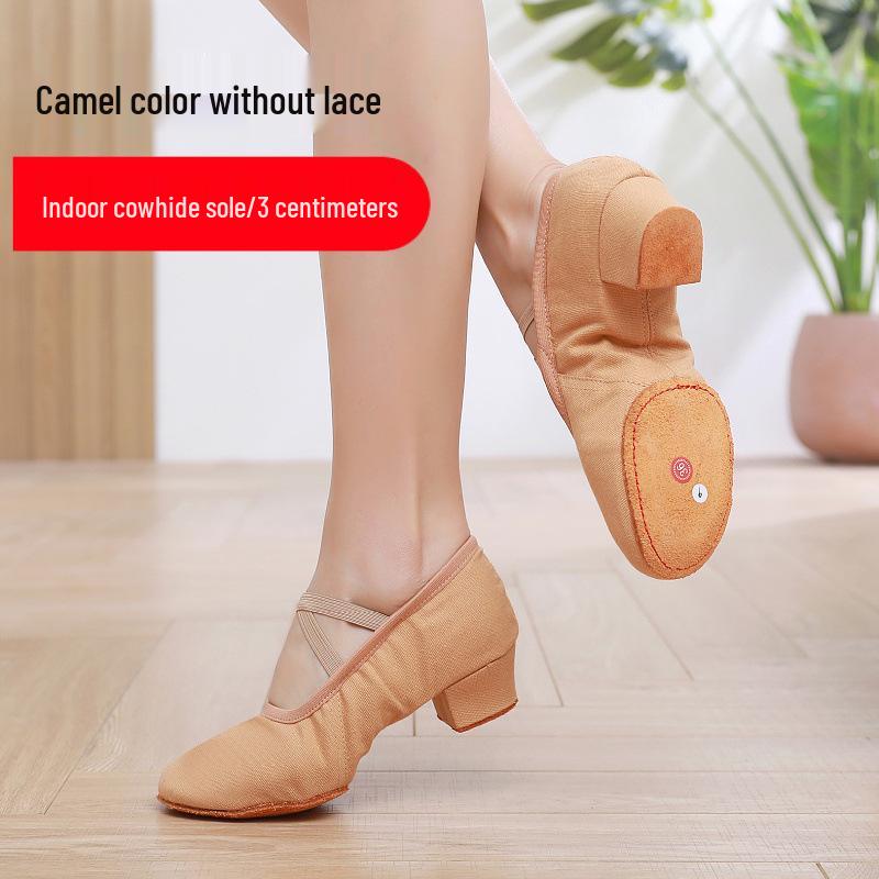 Damen Tanzschuhe ohne Schnürsenkel mit Absatz - Weiche Sohle für Ballett, Yoga, Bauchtanz, Erwachsene, Lehrer und zum Üben.