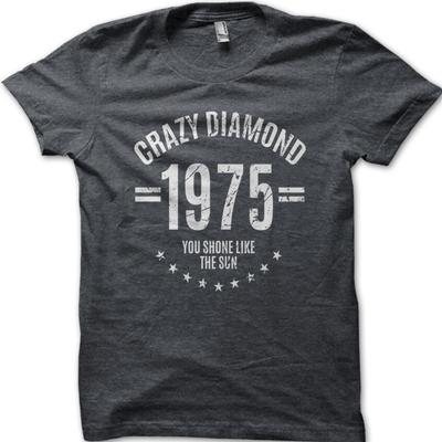Crazy Diamond David Gilmour 1975 (Rok a datum lze přizpůsobit) tričko 9029