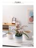 Luxury White Ceramic Hanging Flower Pot Set for Orchids and Money Trees in Living Room