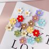 Frosted Resin Flower DIY Supplies: Hair Clips, Accessories, Phone Case Stickers