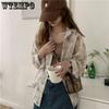 Spring and Autumn Women's Shirt Three-color Vintage Printed Chiffon Shirt Loose Lapel Oil Painting Casual Commuter Women's Top