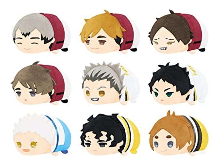 Mochimochi Mascot Haikyu Vol.5 Box Product