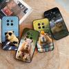 Coques pour téléphones – Pare-chocs pour smartphones