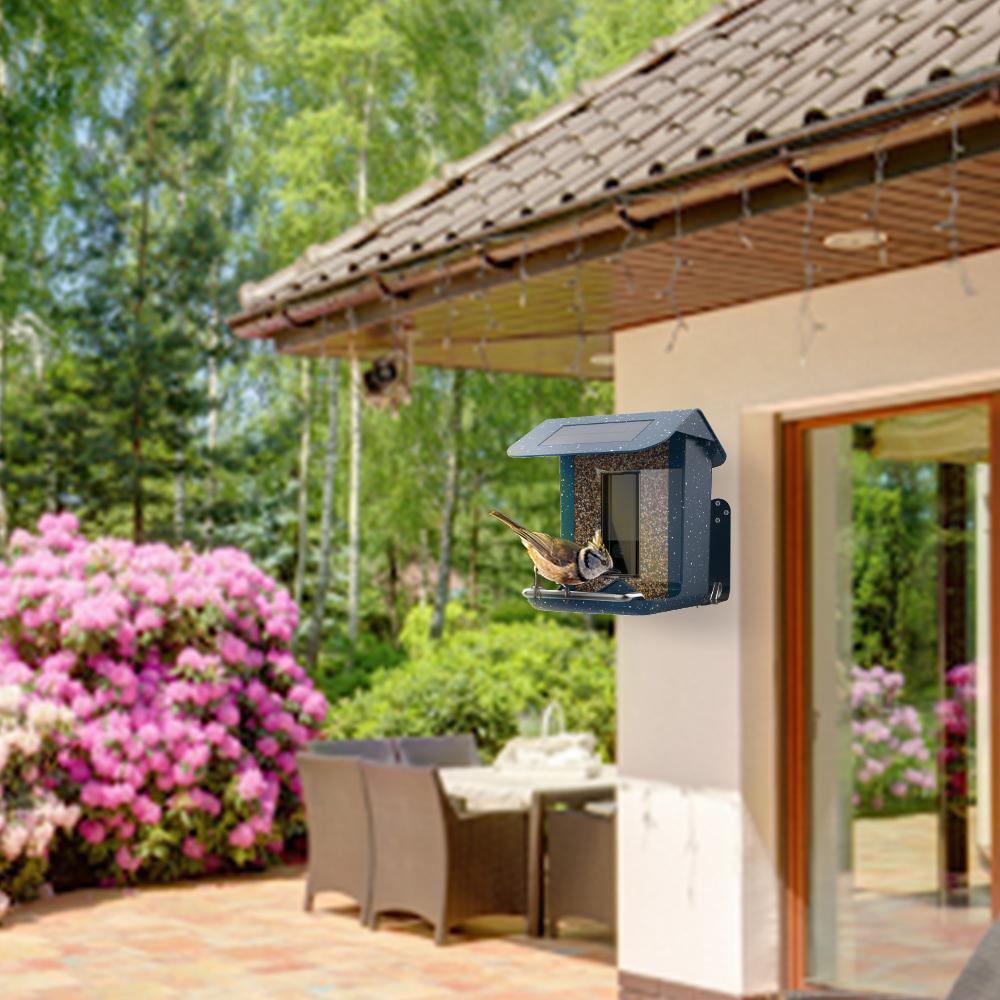 Solar Powered Outdoor Smart AI Recognition Bird Feeder with Camera