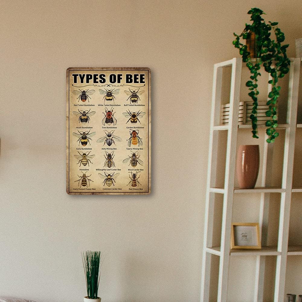 Vintage Bee Knowledge Tin Sign - Retro Metal Wall Art Decor for Classroom and Bathroom - Ect Hanging Poster 8 X 12 Inch