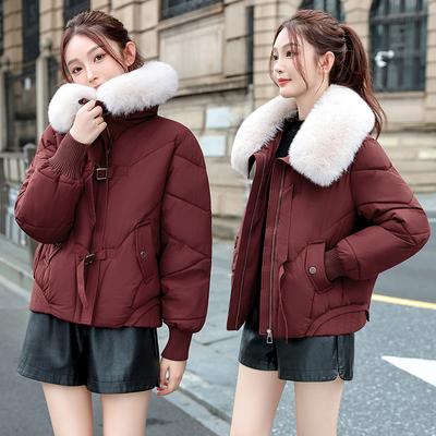 Women’s Short Windproof Thicken Warm Winter Jacket With Fur Lapel