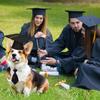 Pet Dog Cap Puppy Dr. Hat Dog Graduation Cap Student Tassel Academic Cap Pet Creative Party Accessories for All Sized Dogs Cats