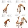 Animal Zoo Pvc Miniature Giraffe Family Static Model Set For Collectors And Kids