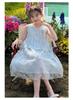 Girls' Thin Summer Dress - Stylish Princess Style