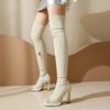 Over Knee Boots Women's Stiletto Jazz Dance High Heels Heels Dance Shoes Fish Mouth Suede Stretch Boots