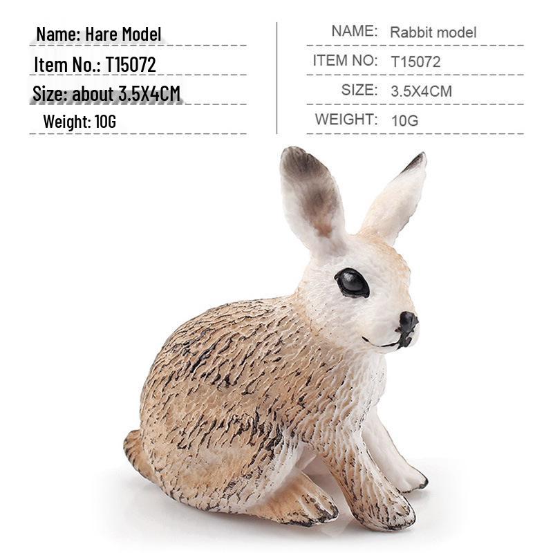 Miniature Farm Animal Models: Chickens, Ducks, Geese, and Cows