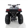 Kids' 36V 800W Electric ATV: All-Terrain Four-Wheeler with Lead-Acid Battery