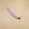 3pcs Plush Simulated Caterpillar Cat Toy Interactive Pet Toys For Kitten