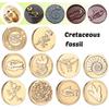 Cretaceous Fossil Sealing Stamps Head Dinosaur Fossil Wax Sealing Stamp For Scrapbooking Invitation Envelope Decoration