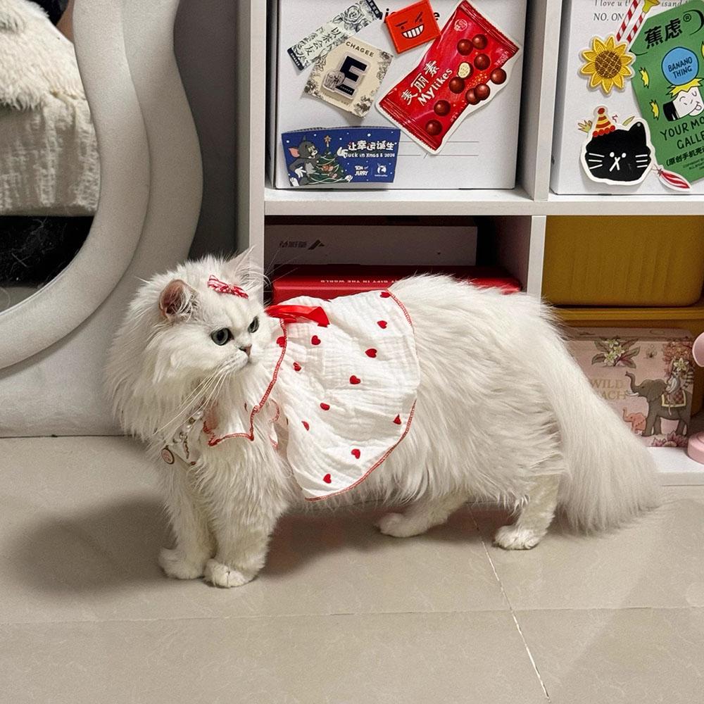 Dogs Princess Dresses Cute Pet Dog Thin Cotton Dress Kitten Puppy Skirt Summer Dog Dress Bow Lace Korean Chihuahua Cat Clothes