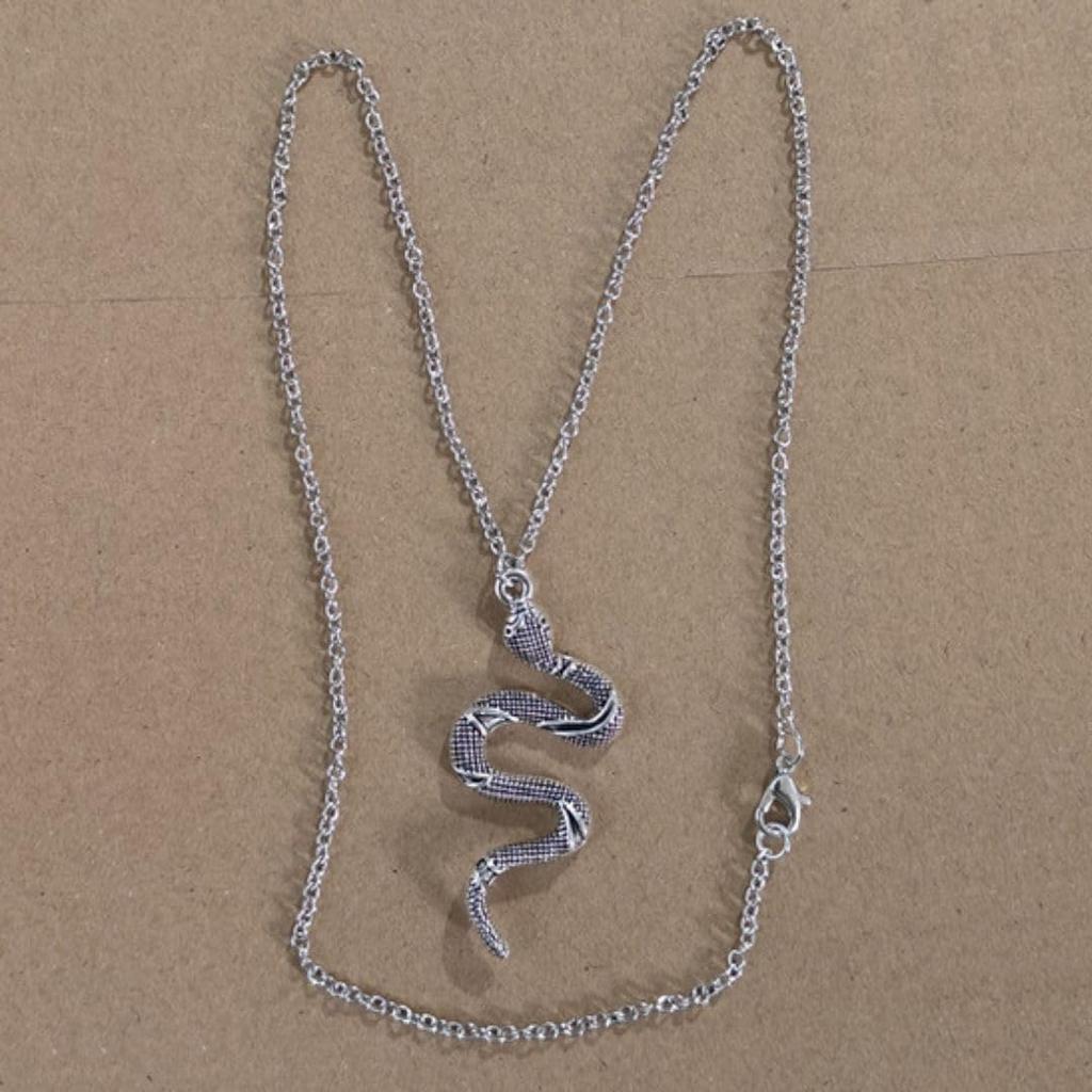 of Rattlesnake Metal Necklace with 45cm Chain 5cm Poisonous Snake Amulet for Protection from Misfortune in the Year of the Snake [Magic Sedona] +