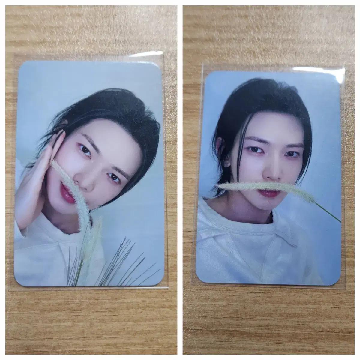 

Ateez Yeosang Puppy Pool Photocard Unreleased Photocard Dimamu