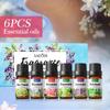 Fragrance Essential Oil Set, Nourishing and Moisturizing Body Universal Serum