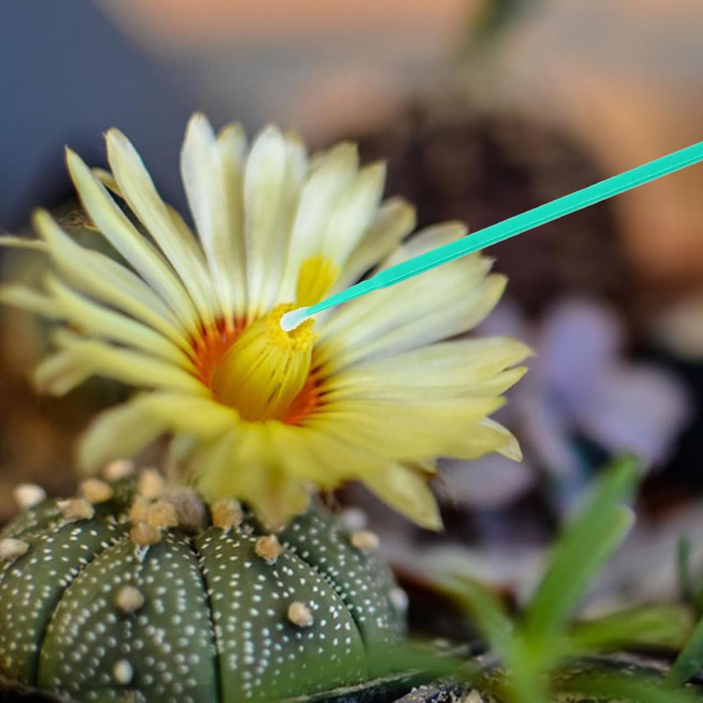 OUNONA Artificial Pollination Manual Pollination Tool for Pollination Set of Hand Manual Gardening Home Green Brush, Plants, 9.5cm Wands, 100,